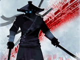 Ninja Arashi