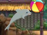 My Dolphin Show 6